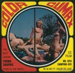 Color Climax Film 1253 - Camping-Sex