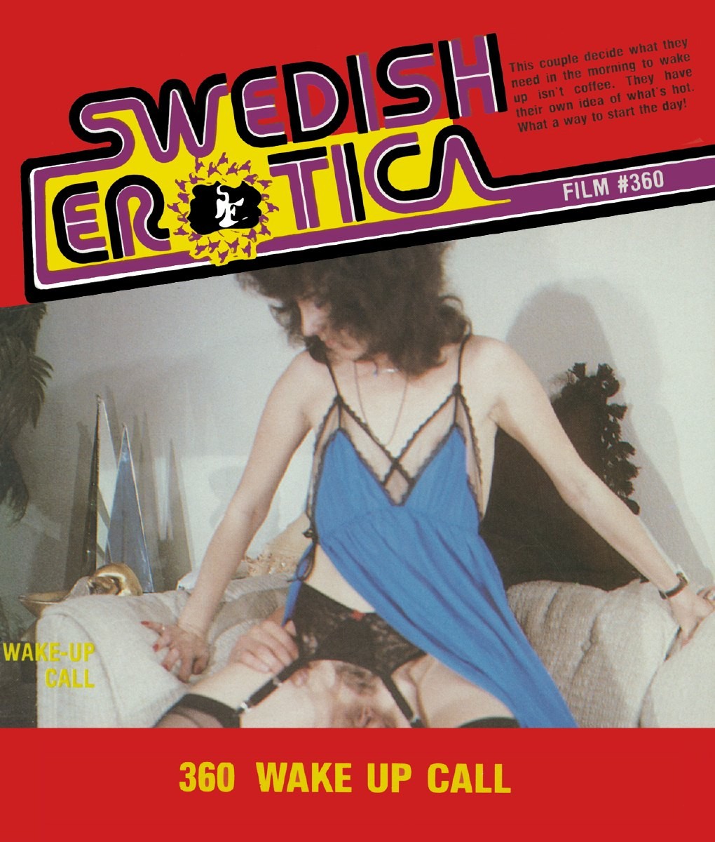 Swedish Erotica 360 - Wake Up Call