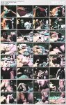 Color Climax Film 1253 - Camping-Sex
