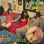 Pleasure Production 2024 - Big Tit Paradise