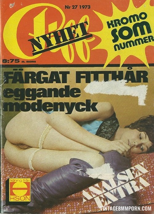 Piff Magazine 1973 Number 27