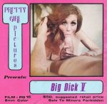 Pretty Girls 16 - Big Dick V
