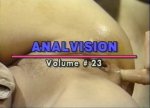 Anal Vision 23 (1994)
