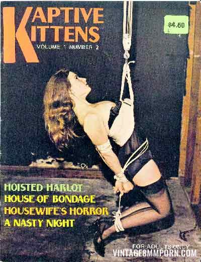 Kaptive Kittens Volume 1 No 2 (1974) Uschi Digard