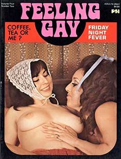 Feeling Gay V4 N2 (1978)