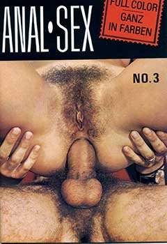 Anal Sex 3