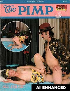 Swedish Erotica - The PIMP