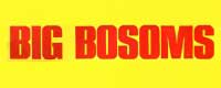 Big Bossoms Retro mags