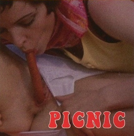 Playgirl Film 7 - Picnic