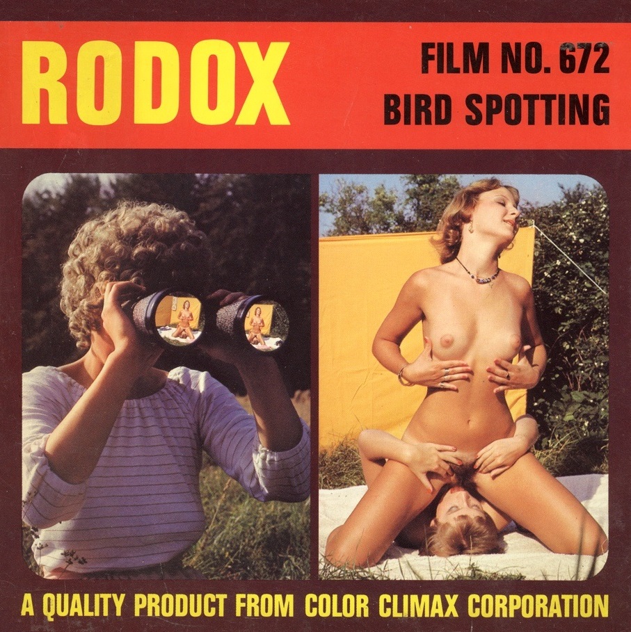Rodox Film 672  Bird Spotting