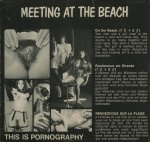 Viking 15 - Meeting at the Beach