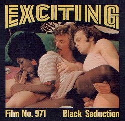 Exciting Film 971  Black Seduction