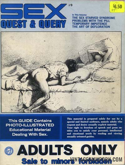 Sex Quest and Query 3-1 (1973)