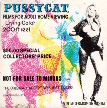 Pussycat Films 6 - Debutante Lust