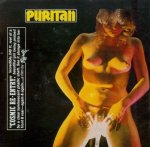 Puritan - Cosmic Re-Entry