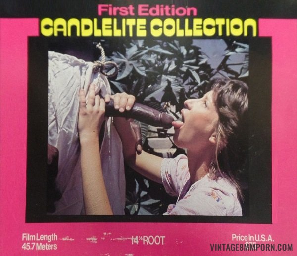 Candlelite Collection 1 - 14 Root