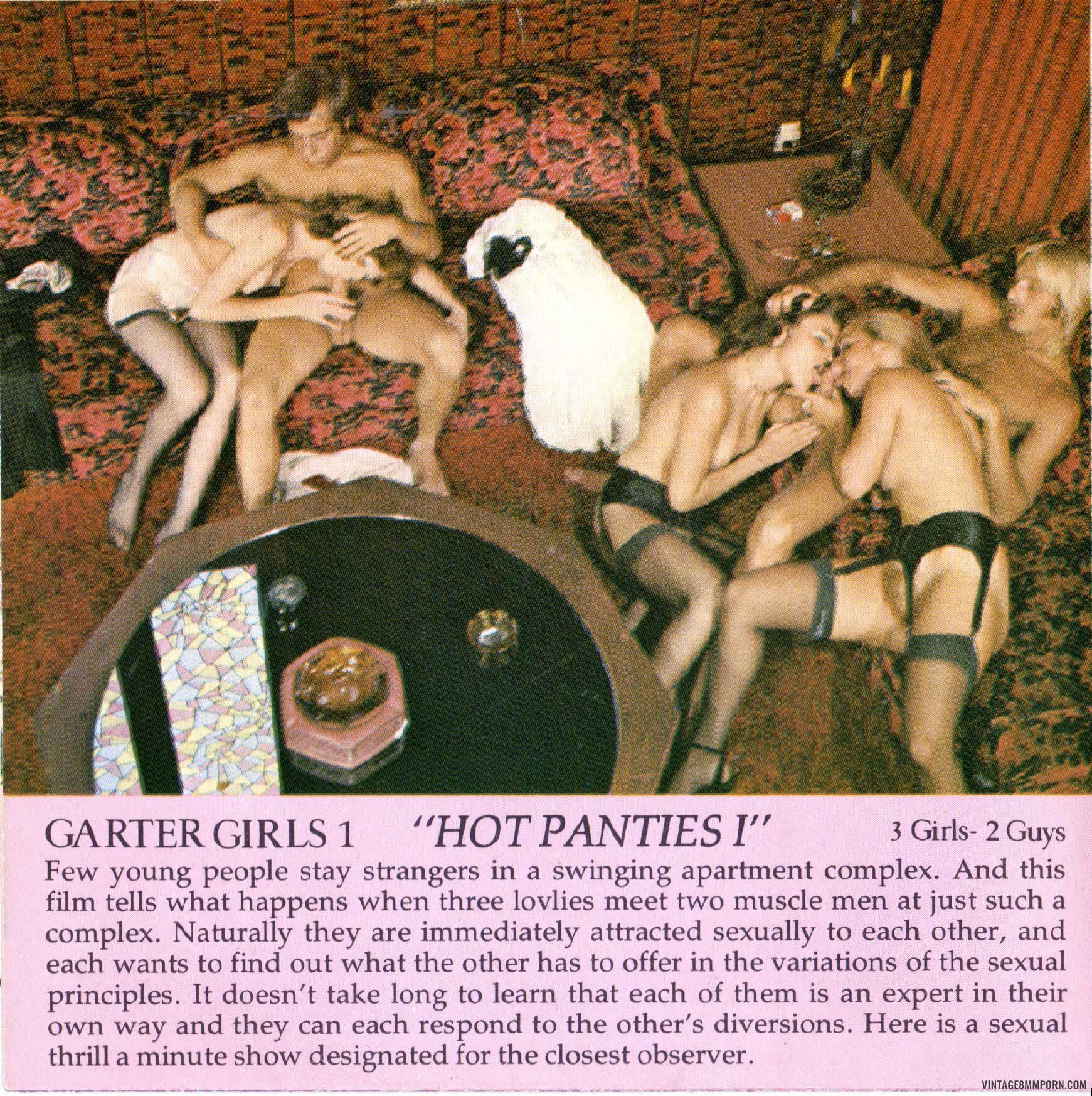 Garter girls 11 after the game 8mm porn