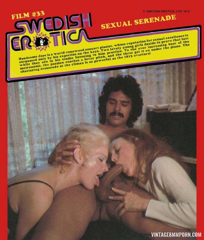 Swedish Erotica 33 - Sexual Serenade