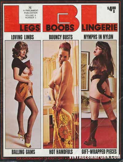Legs Boobs Lingerie Volume 4 No 1 (1970s)