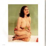 The Big Book of Breasts - The 1960s