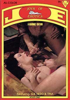Joys of Erotica 16