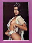 Legs Boobs Lingerie Volume 5 No 3 (1978)