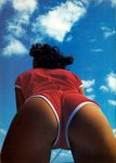 International Cover Models 24 (1980) preview