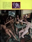 Nudist Adventure 22 (1970) preview