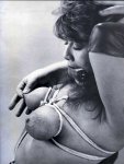 Bound to Please Volume 4 Number 8 preview
