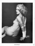 Naked Bondage Volume 1 Number 2 (1978) preview