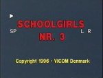Danish Schoolgirls 3 preview