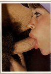 Selecta 3 (1974) preview