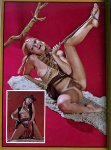 Spice n Nice Volume 2 No 2 (1971) preview