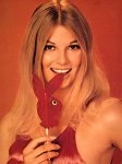 The Girls of Playboy 2 (1974 - 1978) preview