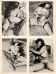239 Tender Teasers Volume 2 Number 1 (1980) preview