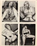 239 Tender Teasers Volume 2 Number 1 (1980) preview