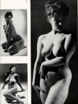 Figure Annual - Fall (1963) preview