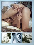 300 Virgin Bitches Volume 1 Number 3 (1978) preview