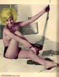 Black Silk Stockings - Vol. 2 No.4 (1966) preview