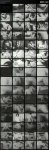 Softcore Nudes 635 (1960s) preview