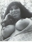 Big Bosoms 9 (1972) preview