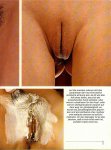 frivol 28 preview