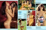 Homem 34 - May (1978) preview