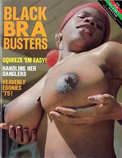 Black Bra Busters Volume 6 No 1 (1975)