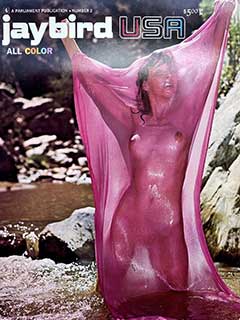 Jaybird USA Number 2 (1973)