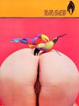 Golden Nudes Volume 1 No 3 (1969) preview