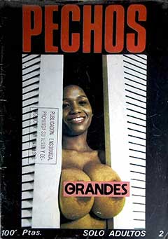 Pechos Grandes 2