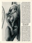 Knockers and Nipples Volume 4 Number 2 (1978) preview