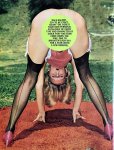 324 CHIC CHICKS Volume 1 (1969) preview