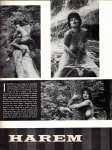 Fling Volume 13 (1962) preview